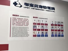 -御宝贝24h宠物医院·转诊中心·CT核磁血透中心(厦门总院)