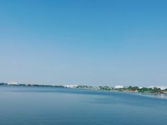 -鹅湖玫瑰文化园