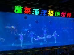 -蓬莱欧乐堡海洋极地世界