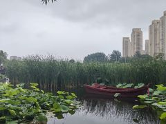 -前关湿地公园