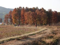-四明湖