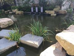 -上海崇明金茂凯悦酒店