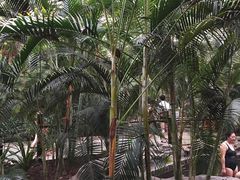 -龙达温泉生态城