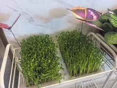 -烹然四季椰子鸡火锅(姚家园万象汇店)