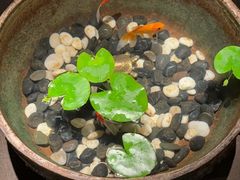 -曲水兰亭(北京四惠店)