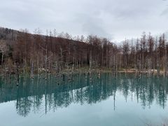 -青池