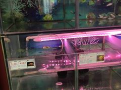 -大润发(勤业店)