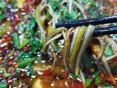 单品临江鳝丝-乐山第一家临江鳝丝(茶坊路店)