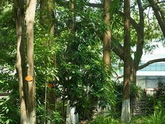 -成都市活水公园