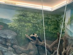 -武汉动物园