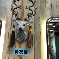 -韩鑫烫染接发·收长头发