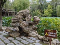 -莲湖公园
