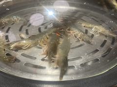 -日进一片海.生腌海鲜火锅.宵夜烧烤(三里屯总店)