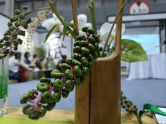 -重庆国际会议展览中心