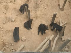 -泉州海丝野生动物世界