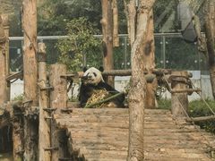 -黔灵山公园