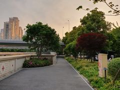 -新湖明珠城