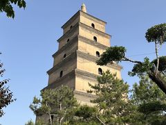 -大慈恩寺(大雁塔)