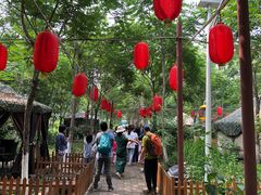 -草根堂农场