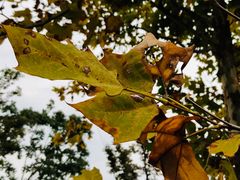 -上海浦江郊野公园-4号停车场