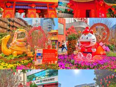 -越秀西湖花市(广州城市广场花卉店)