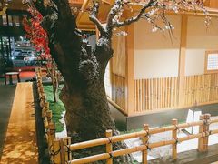 -北方暖暖温泉度假洗浴