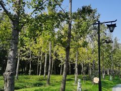 -狼山风景名胜区