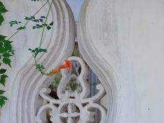 -拙政园
