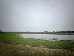 -径山花海
