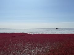 -红海滩国家风景廊道