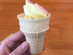 -5食堂