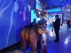 -烟台海昌鲸鲨海洋公园