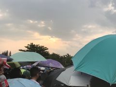 -万绿园