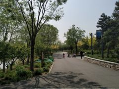 -东郊湿地公园