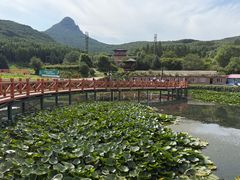 -帽儿山风景区