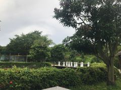 -汕头莲花山度假村温泉