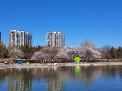 -太阳宫公园