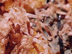 章鱼小丸子-仓桥家·焗寿司·锅物(光谷步行街店)