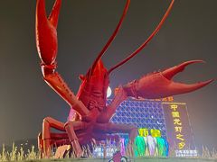 -虾皇(龙虾城旗舰店)