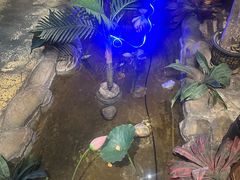 -城墙拐拐火锅(三峡广场黑金冠店)