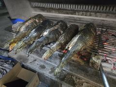 -杨合林啊兰烤鱼