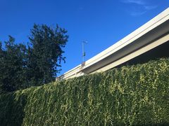 -胜华驾校·小猫学车(银都店)