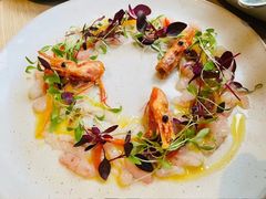 意式生虾薄片-Solo(衡山路店)