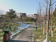 -东升文体公园