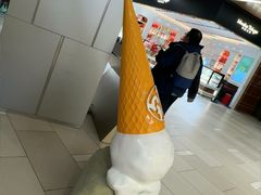 -野人先生现做冰淇淋(北京环宇荟店)
