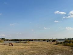-亿利库布其七星湖沙漠生态旅游区