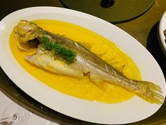 鸡油蒸半野生黄鱼-玫瑰厅上海菜(兴国路店)