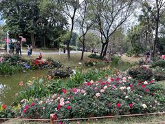 -人民公园(罗湖区)