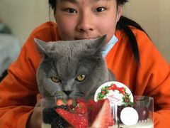 -美丽心情蛋糕(江苏路店)