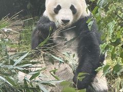 -青藏高原野生动物园